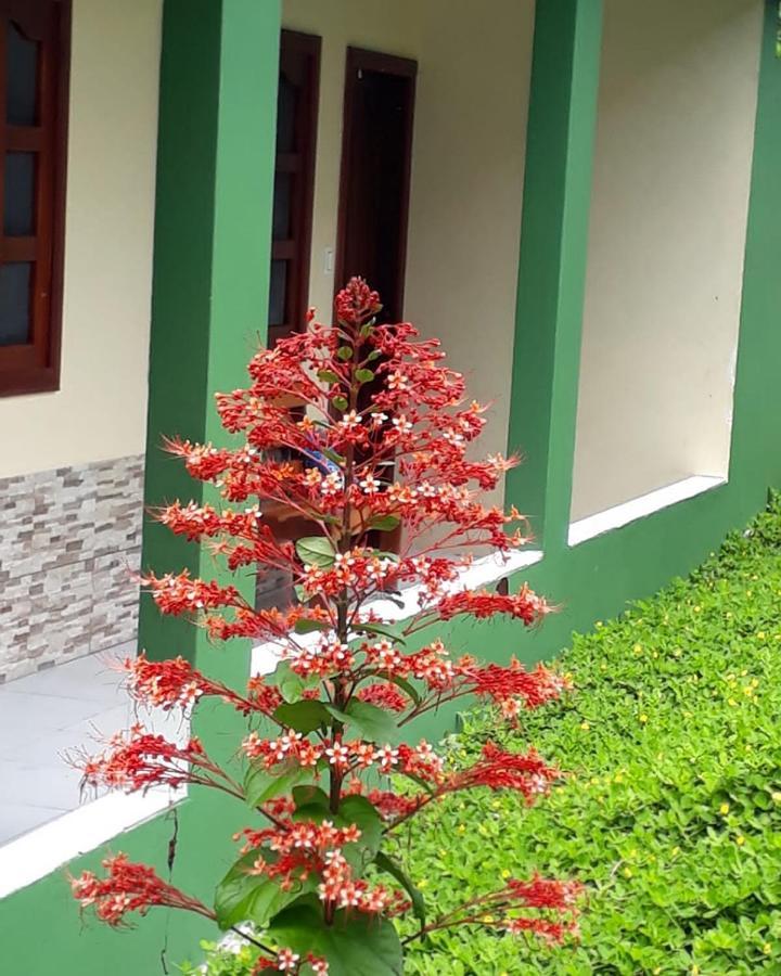 Wikungo Hotel Puerto Nariño Екстериор снимка