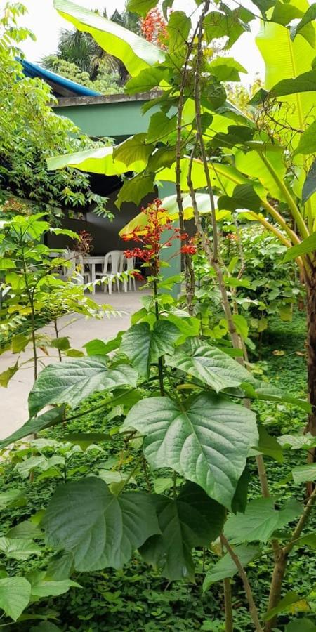 Wikungo Hotel Puerto Nariño Екстериор снимка