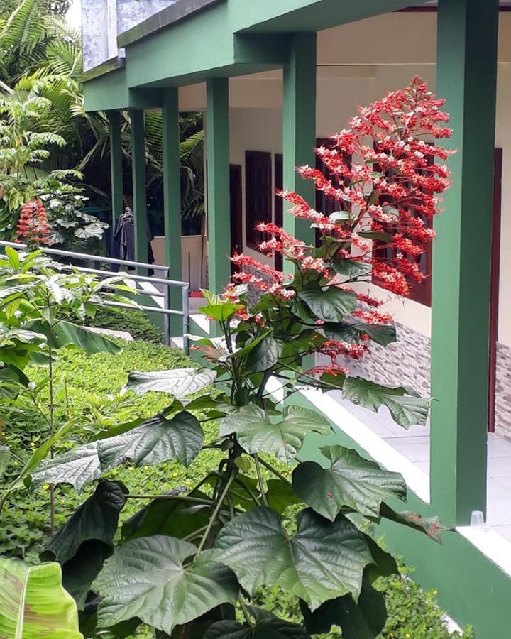 Wikungo Hotel Puerto Nariño Екстериор снимка